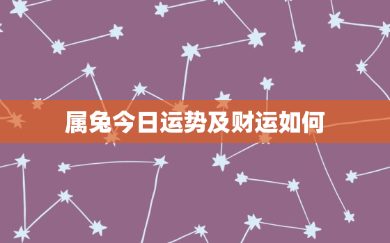 属兔今日运势及财运如何，属兔今日运势及财运如何呢