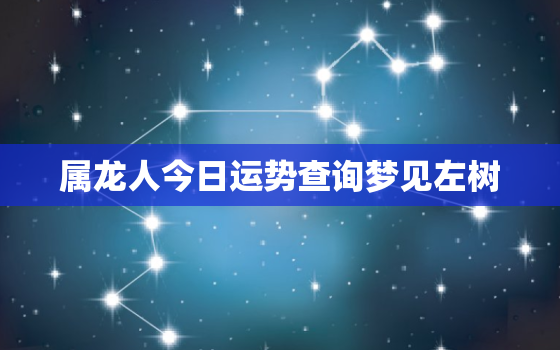 属龙人今日运势查询梦见左树，梦见树上有龙什么意思