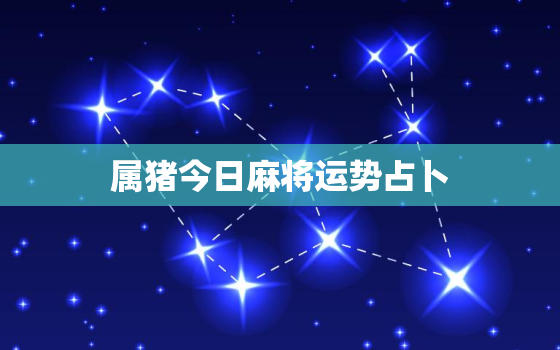 属猪今日麻将运势占卜，属猪今日麻将运势查询2020