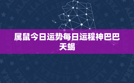 属鼠今日运势每日运程神巴巴天蝎，属鼠今日运程每日运势查询