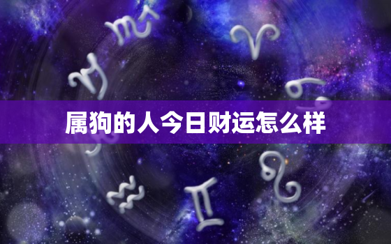 属狗的人今日财运怎么样，70年属狗52岁三大坎坷