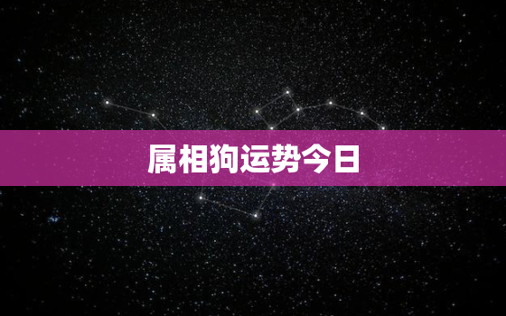 属相狗运势今日，属狗今日运势每日更新