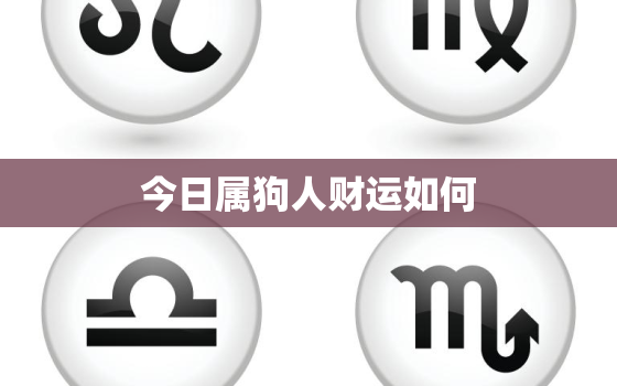 今日属狗人财运如何，今日属狗的人运势和财运如何