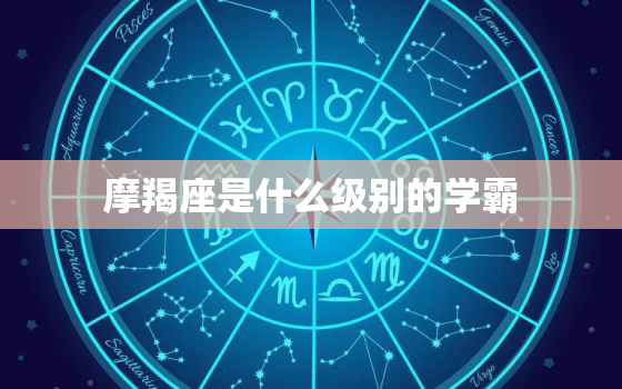 摩羯座是什么级别的学霸，摩羯座是什么象星座