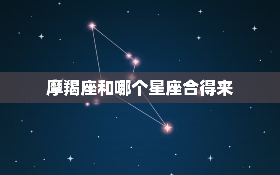 摩羯座和哪个星座合得来，十二星座谁最懂摩羯座