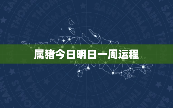 属猪今日明日一周运程，属猪今日运势占卜