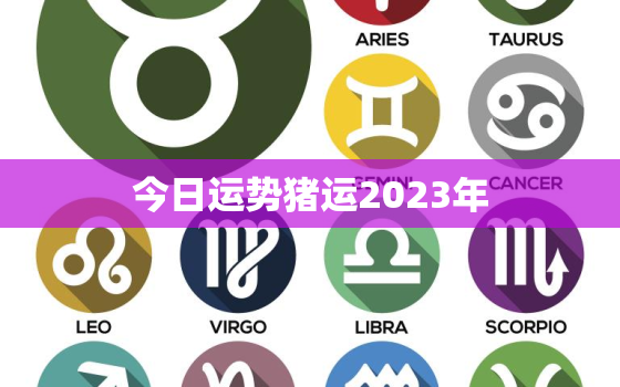 今日运势猪运2023年，今日运势猪运2023年黄历