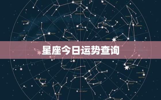 
星座今日运势查询，
星座今日运势查询今日财神