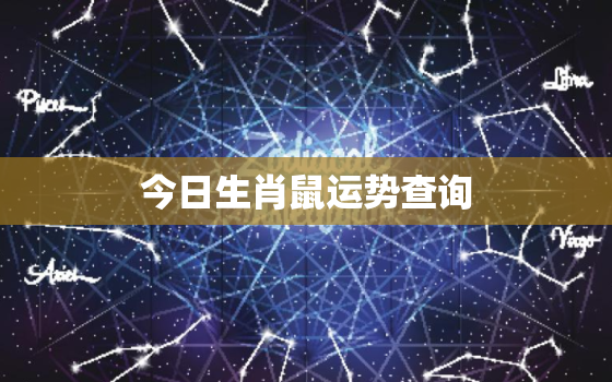 今日生肖鼠运势查询，今日生肖鼠运势查询吉凶