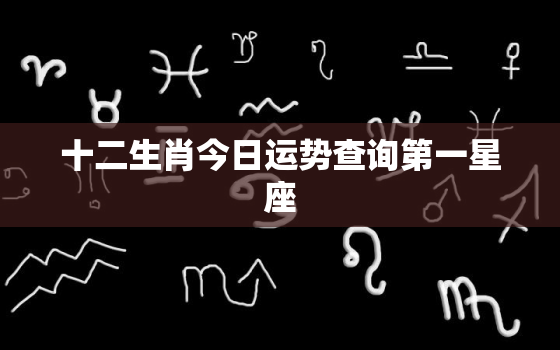 十二生肖今日运势查询第一星座，十二生肖今日运势十二生肖每日运程财运