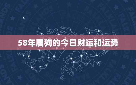 58年属狗的今日财运和运势，58年的狗今天运气