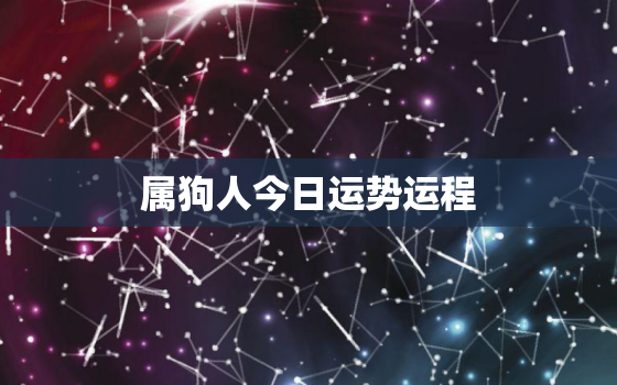 属狗人今日运势运程，属狗人今日运势十二星座网