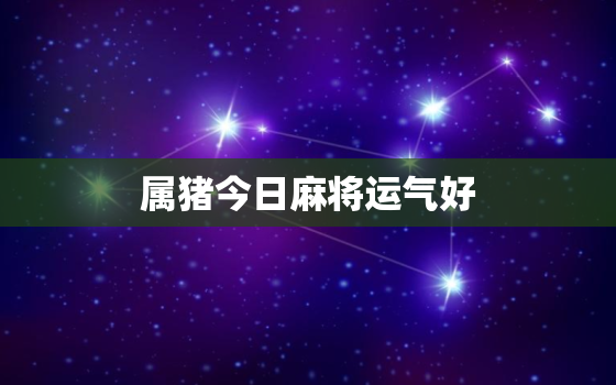 属猪今日麻将运气好，属猪人今日麻将占卜