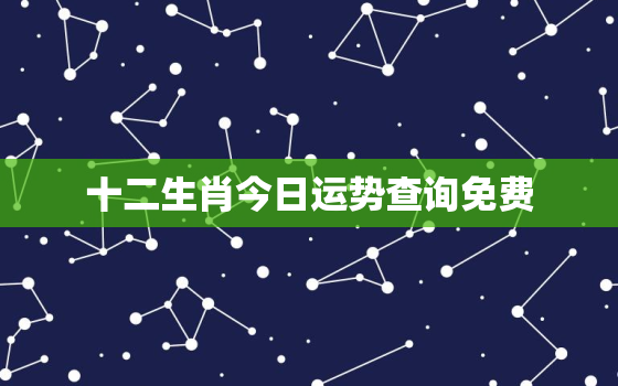 十二生肖今日运势查询免费，十二生肖今日运势查询卜易