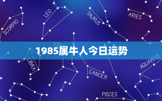 1985属牛人今日运势，1985属牛人今日运势查询