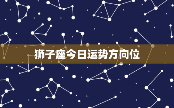 狮子座今日运势方向位，狮子座今日运势?