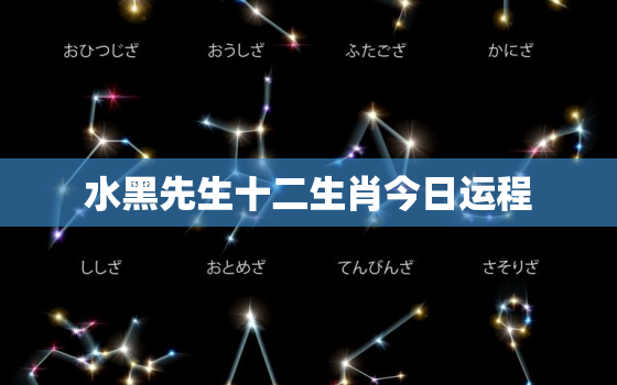 水黑先生十二生肖今日运程，水黑先生龙生肖今天财运怎样