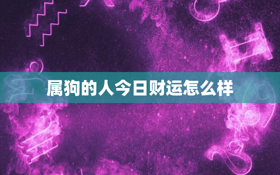 属狗的人今日财运怎么样，今天属狗的财运