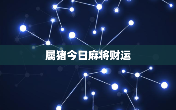 属猪今日麻将财运，属猪今日麻将财运属猪今天5月15能不能打麻将