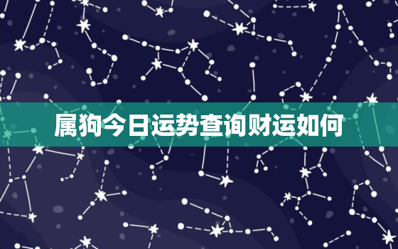 属狗今日运势查询财运如何，属狗的今日运势如何?