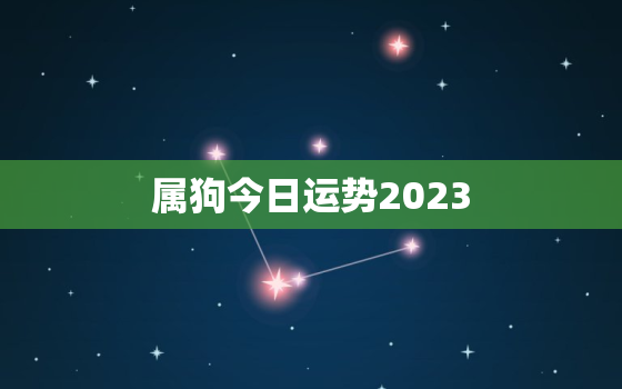 属狗今日运势2023，属狗今日运势20211119