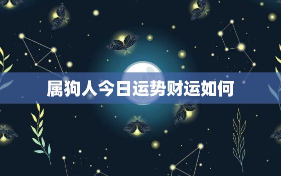 属狗人今日运势财运如何，属狗人今日运势十二星座网