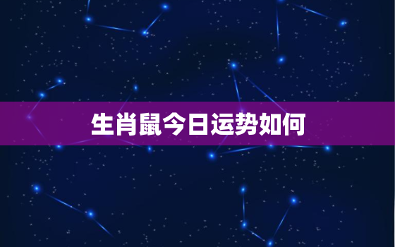 生肖鼠今日运势如何，生肖鼠今日运势简介