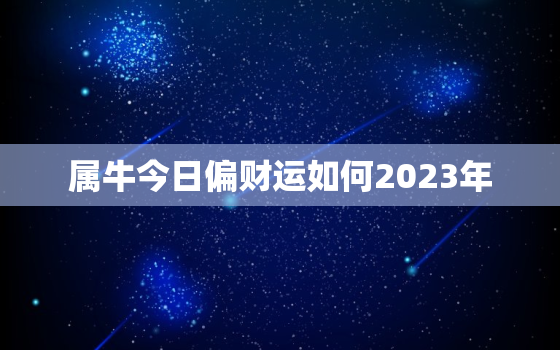 属牛今日偏财运如何2023年，属牛的今天的偏财运怎么样