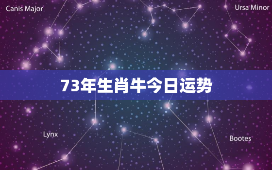 73年生肖牛今日运势，1973年属牛2021年今日运势