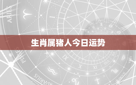 生肖属猪人今日运势，生肖属猪今日运势2021年,10月10日