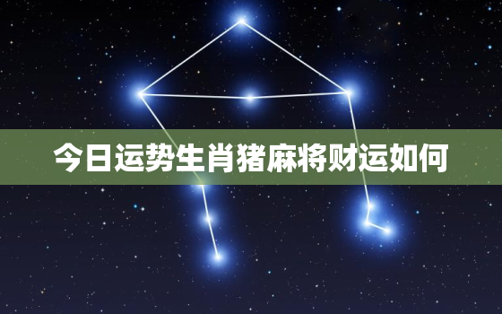 今日运势生肖猪麻将财运如何，属猪今日麻将运气好