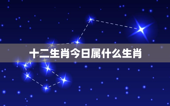 十二生肖今日属什么生肖，十二生肖今日属什么生肖呢