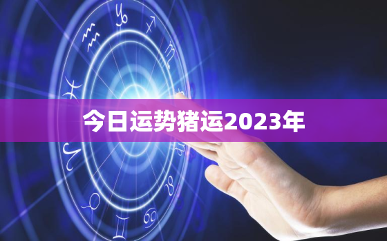 今日运势猪运2023年，二o二生肖猪今天运势