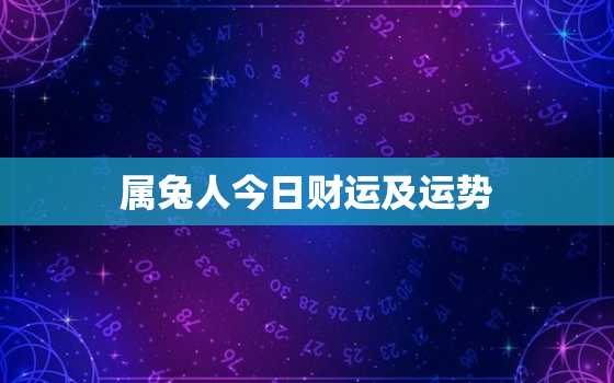 属兔人今日财运及运势，属马的今年运势和财运怎么样