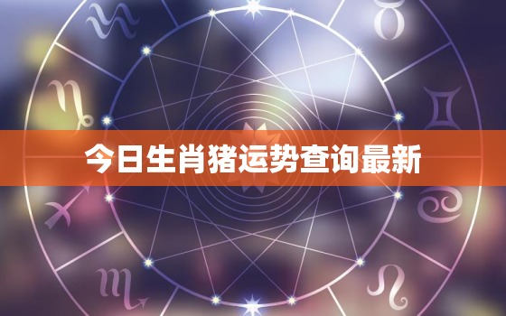 今日生肖猪运势查询最新，今日生肖猪的运势财运方位和幸运数字