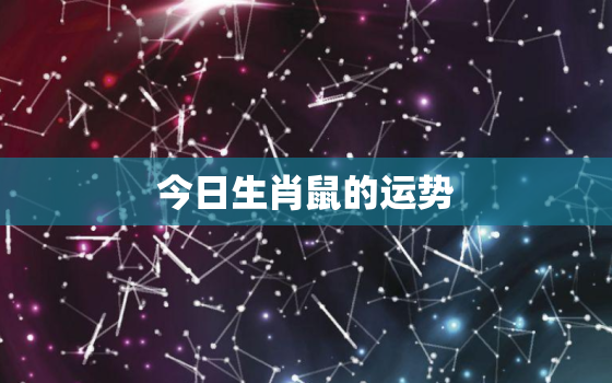 今日生肖鼠的运势，今日生肖鼠运势解秘