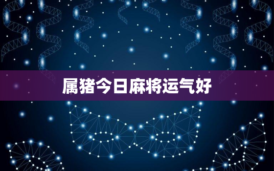 属猪今日麻将运气好，属猪的今日麻将运势