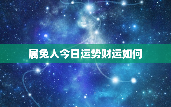 属兔人今日运势财运如何，属兔人今日的运气和财运