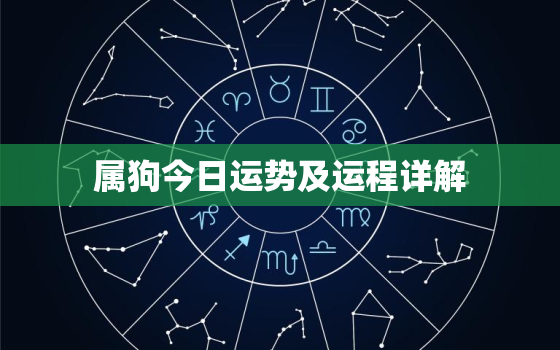 属狗今日运势及运程详解，属狗今日运势每日运程