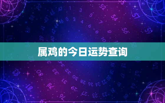 属鸡的今日运势查询，属鸡今日运势查询奇缘阁