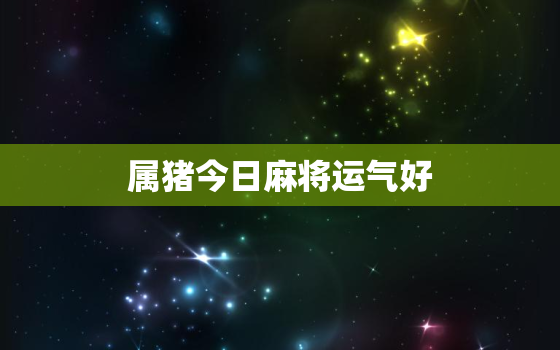 属猪今日麻将运气好，属猪今日麻将运势查询2020