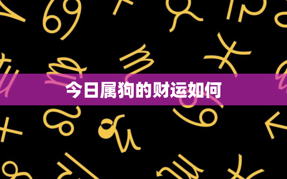 今日属狗的财运如何，今日属狗人财运