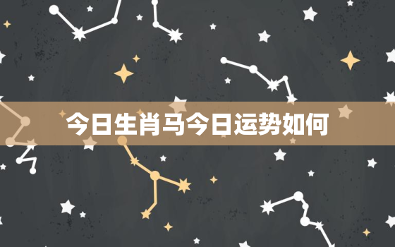 今日生肖马今日运势如何，生肖马今日运势解析