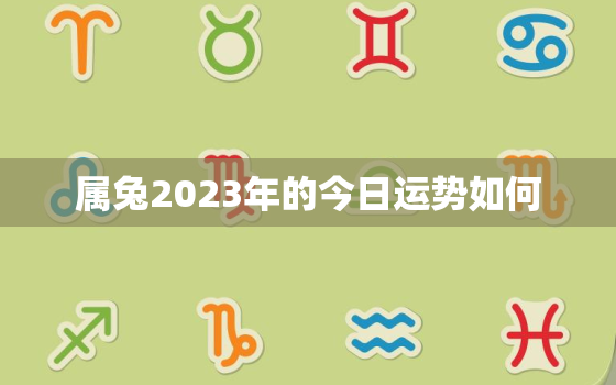 属兔2023年的今日运势如何，属兔运势2023年运势详解