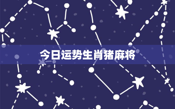 今日运势生肖猪麻将，今日猪财运,打麻将如何,坐位置