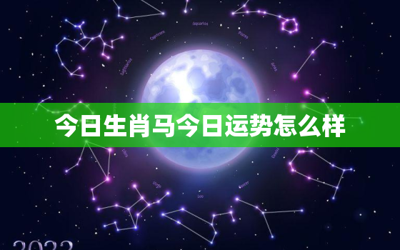 今日生肖马今日运势怎么样，今日生肖马的运势