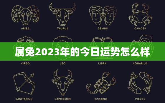 属兔2023年的今日运势怎么样，属兔2023年的今日运势怎么样呢