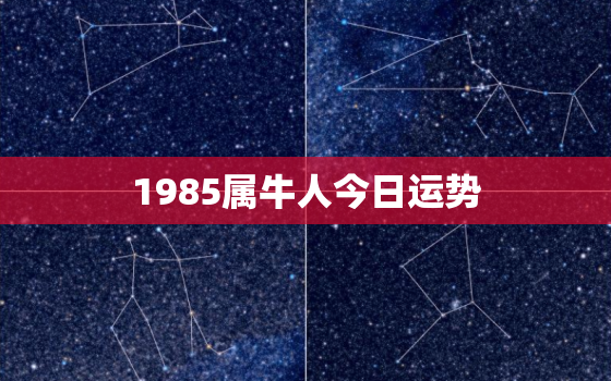 1985属牛人今日运势，85属牛今日运势如何