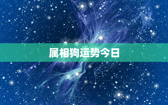 属相狗运势今日，属狗今日运势属