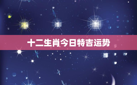 十二生肖今日特吉运势，十二生肖今日特吉运势11月14日